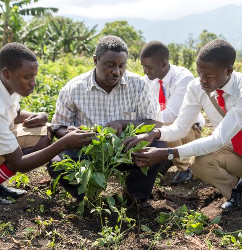 Young farmers in Uganda