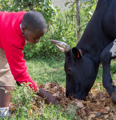 Uganda