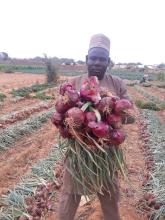 Seeds for Change