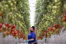 AppHarvest