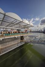 Floating dairy farm